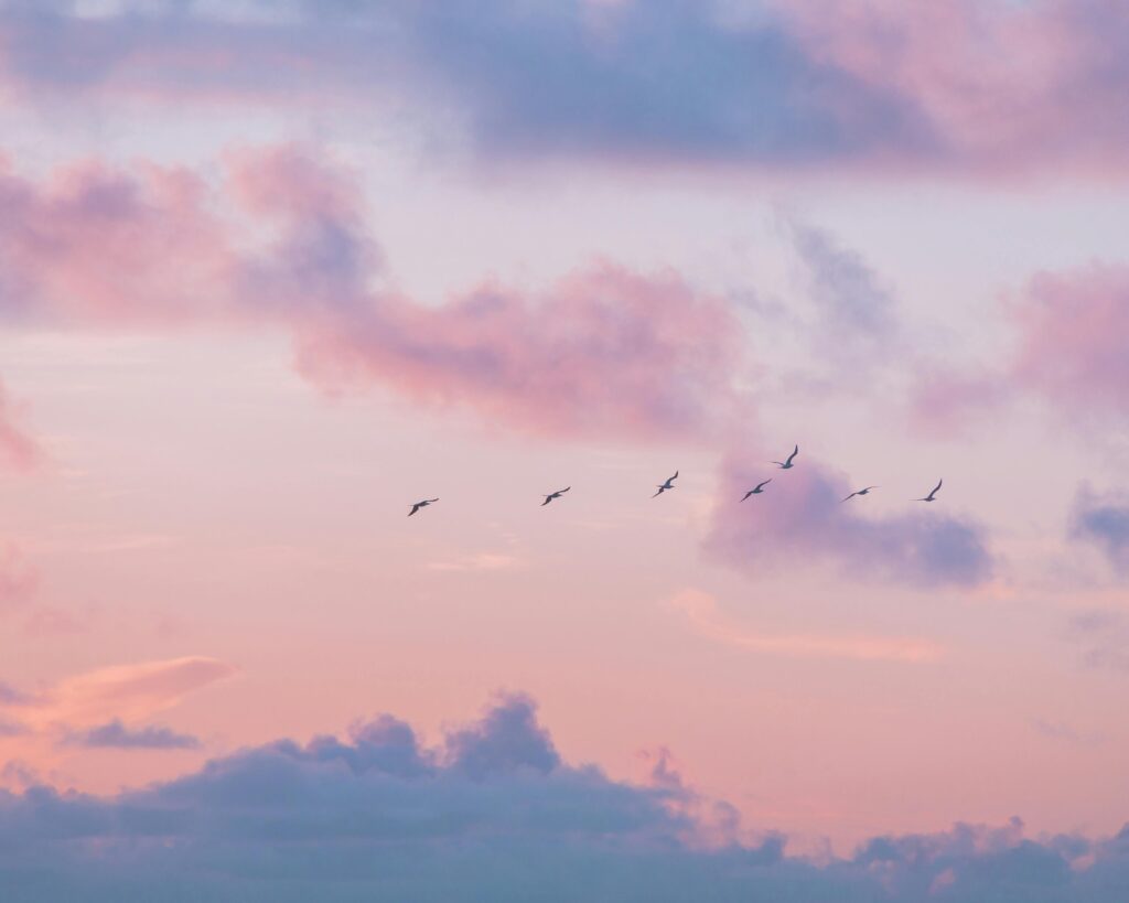 When God Is Silent and You’re Still Waiting A tranquil twilight sky painted in pastels with a flock of birds in flight, creating a serene atmosphere.